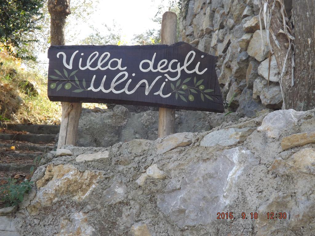 Appartamento Villa Degli Ulivi Сант'Анджелло Номер фото