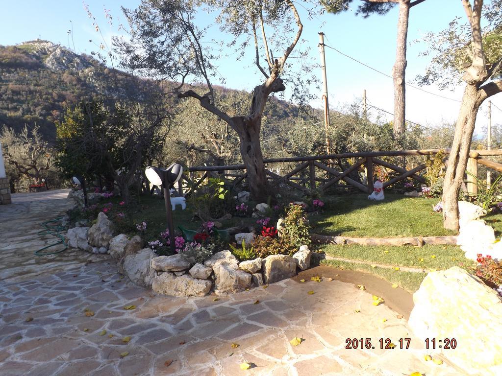 Appartamento Villa Degli Ulivi Сант'Анджелло Экстерьер фото
